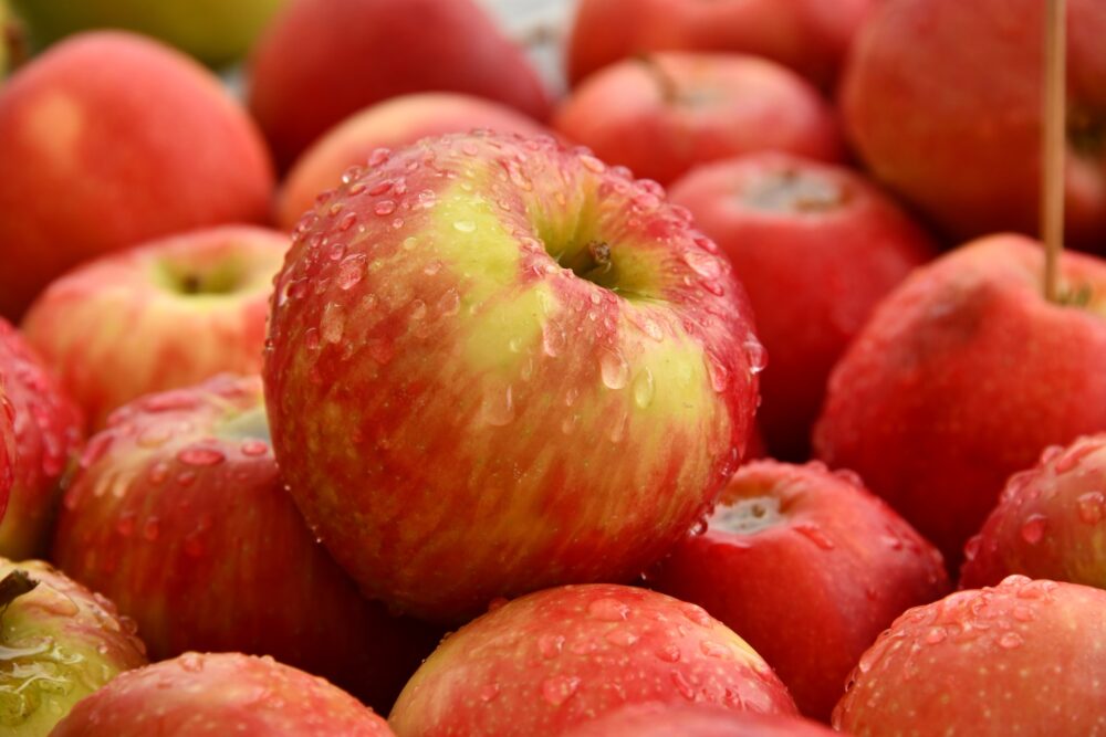 スパークルホリデーのトップはリンゴのみずみずしい香り