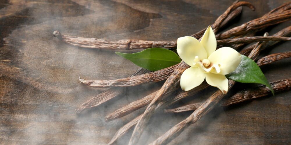 ベースノート：アイディアルワンの真髄はここに