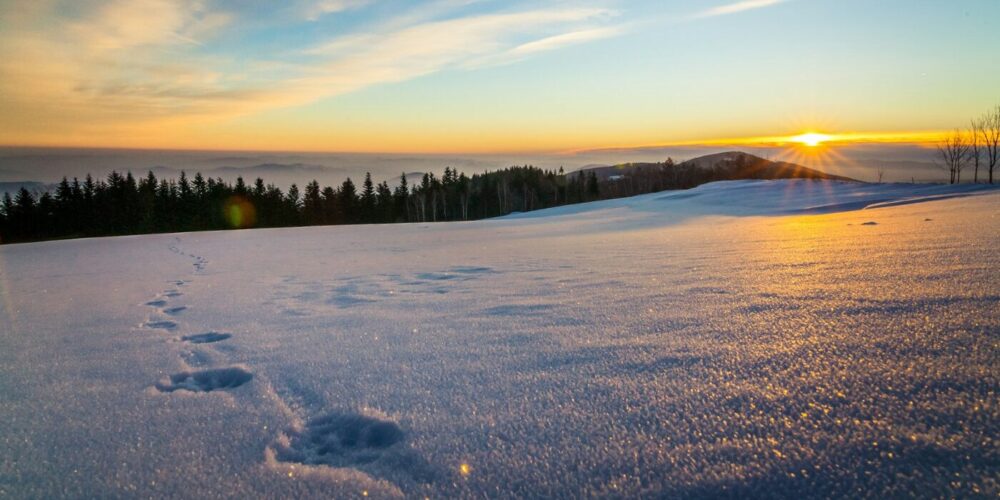 トップノート "雪原に差し込む、冬の朝日"